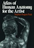 Atlas Of Human Anatomy For The Artist