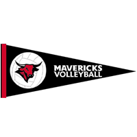 Volleyball Pennant
