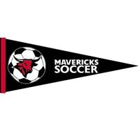 Soccer Pennant