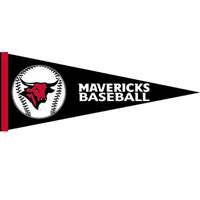 Baseball Pennant