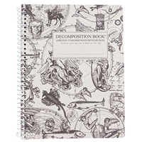 Michael Roger Gargoyles Decomposition Book