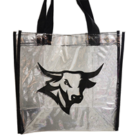 Clear Stadium Bag