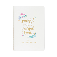 Erin Condren Gratitude Journal