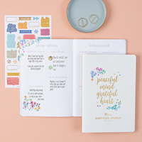 Erin Condren Gratitude Journal