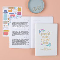 Erin Condren Gratitude Journal