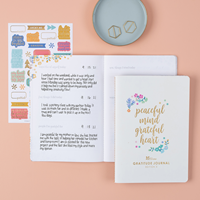 Erin Condren Gratitude Journal