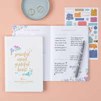 Erin Condren Gratitude Journal