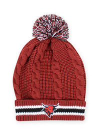 Youth Bull Logo Beanie