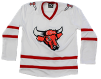 Vintage Bull Logo Jersey