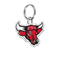 Vintage Bull Logo Key Chain