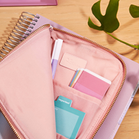 Erin Condren Pastel Essential Ultimate Planny Pack