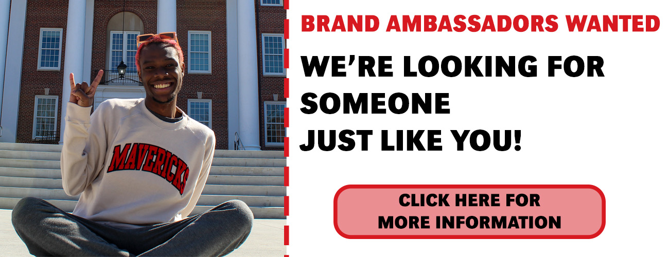 Brand Ambassadors